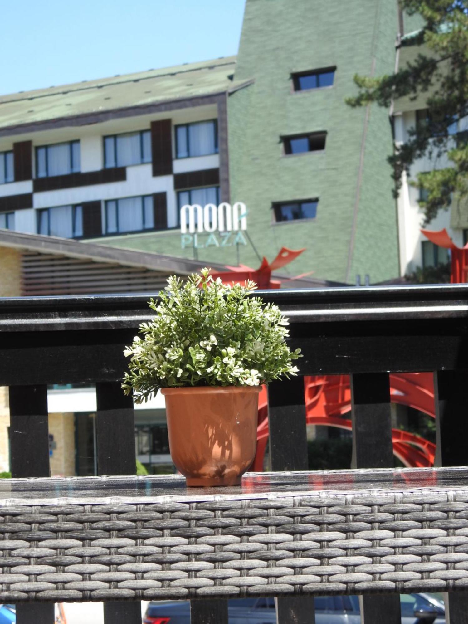 Apartman Ogi Златибор Екстер'єр фото
